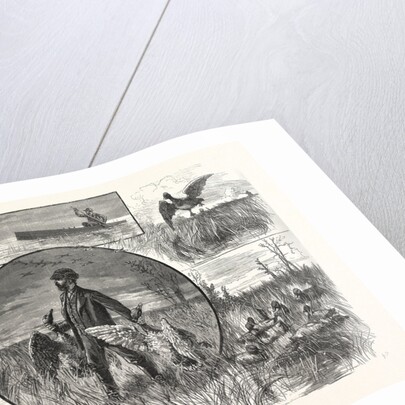 Cruelties Practised on Fish and Fowl by Anonymous