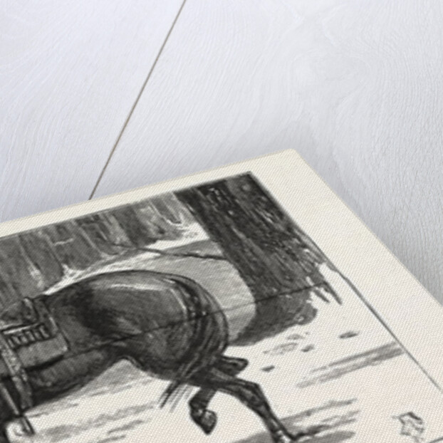 Ten Minutes Refreshments, British Columbia, Westernmost Province of Canada by Anonymous