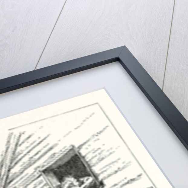 Hold Cried the Doctor by Anonymous