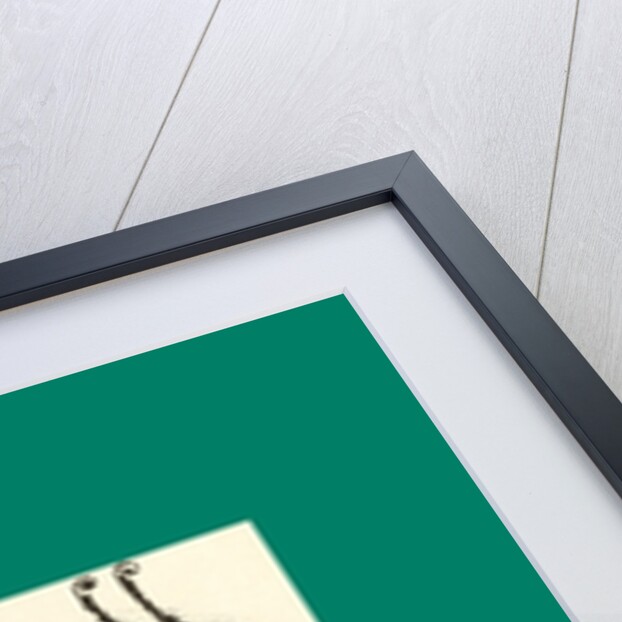 Schnaken and Schnurren, 1866, Mosquitoes and Purring by Anonymous