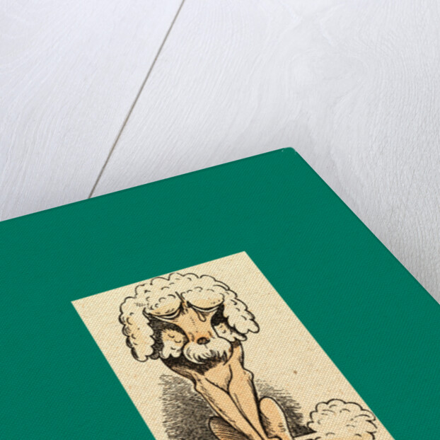 Schnaken and Schnurren, 1866, Mosquitoes and Purring by Anonymous