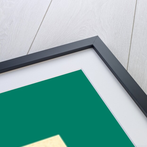 Schnaken and Schnurren, 1866, Mosquitoes and Purring by Anonymous