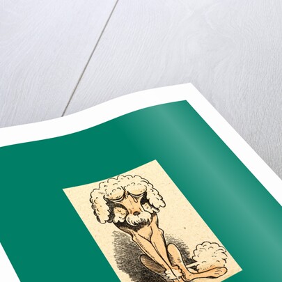 Schnaken and Schnurren, 1866, Mosquitoes and Purring by Anonymous