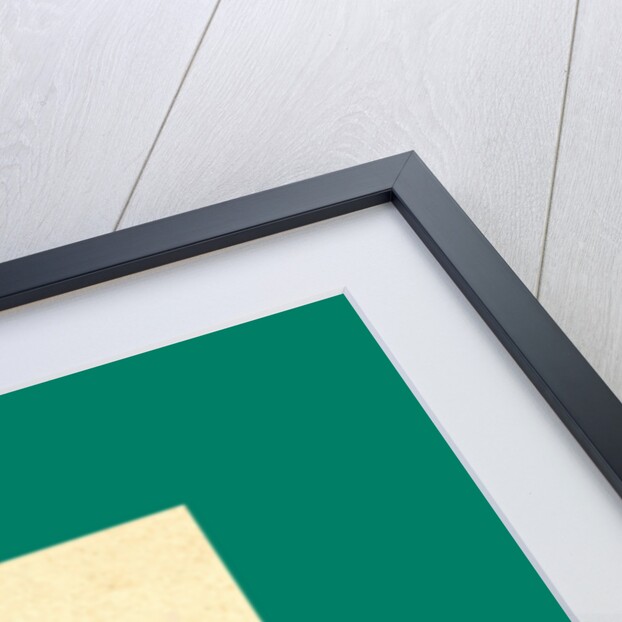 Schnaken and Schnurren, 1866, Mosquitoes and Purring by Anonymous