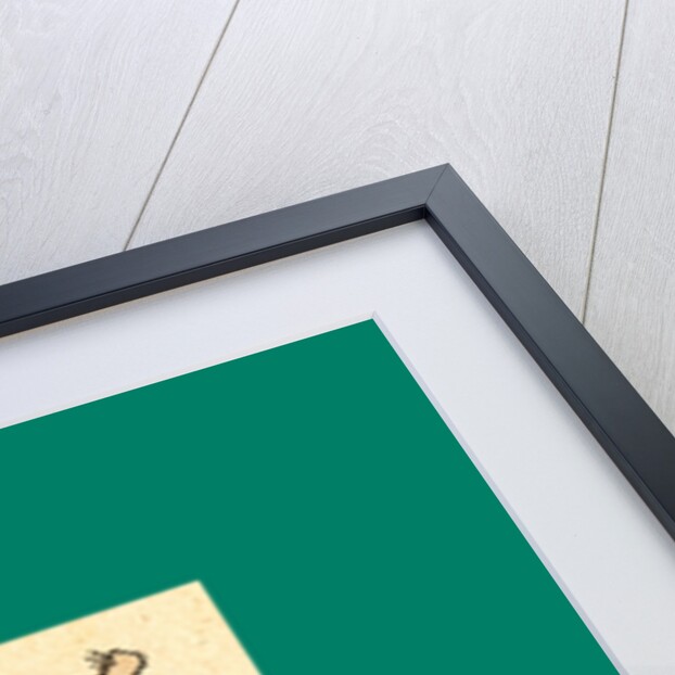 Schnaken and Schnurren, 1866, Mosquitoes and Purring by Anonymous