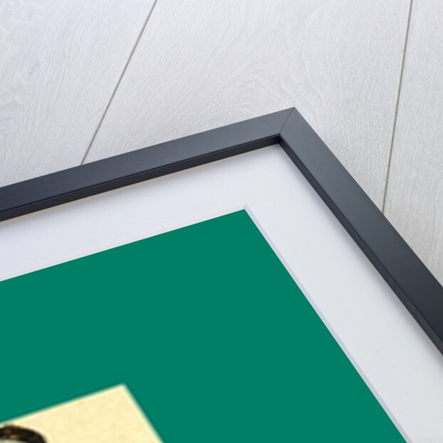 Schnaken and Schnurren, 1866, Mosquitoes and Purring by Anonymous