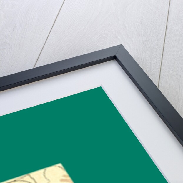 Schnaken and Schnurren, 1866, Mosquitoes and Purring by Anonymous