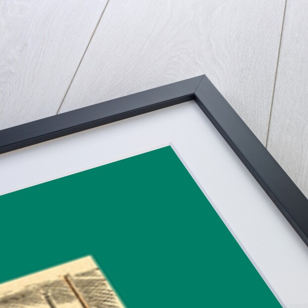 Schnaken and Schnurren, 1866, Mosquitoes and Purring by Anonymous