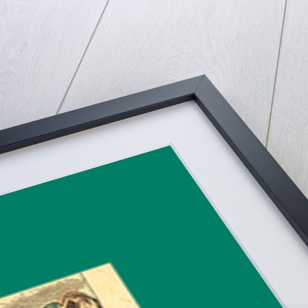 Schnaken and Schnurren, 1866, Mosquitoes and Purring by Anonymous