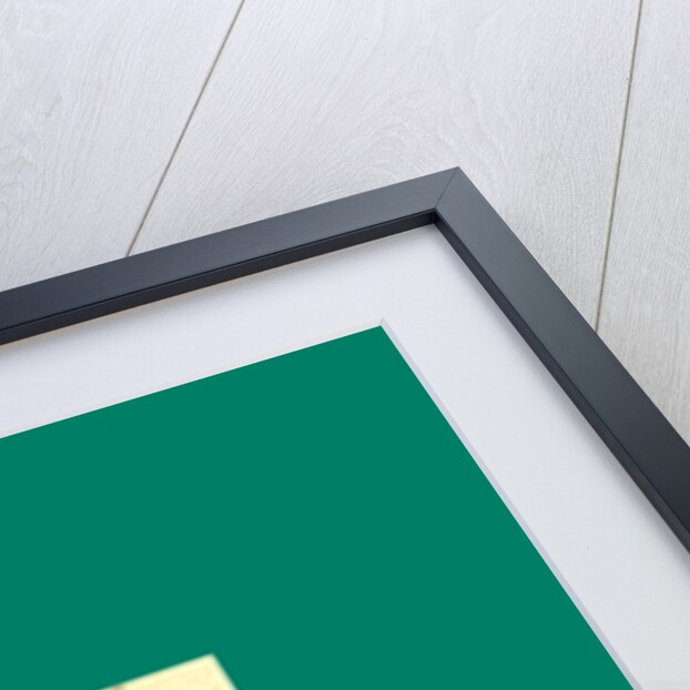 Schnaken and Schnurren, 1866, Mosquitoes and Purring by Anonymous