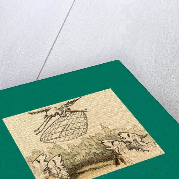 Schnaken and Schnurren, 1866, Mosquitoes and Purring by Anonymous