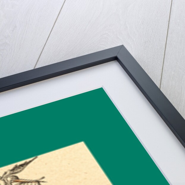 Schnaken and Schnurren, 1866, Mosquitoes and Purring by Anonymous