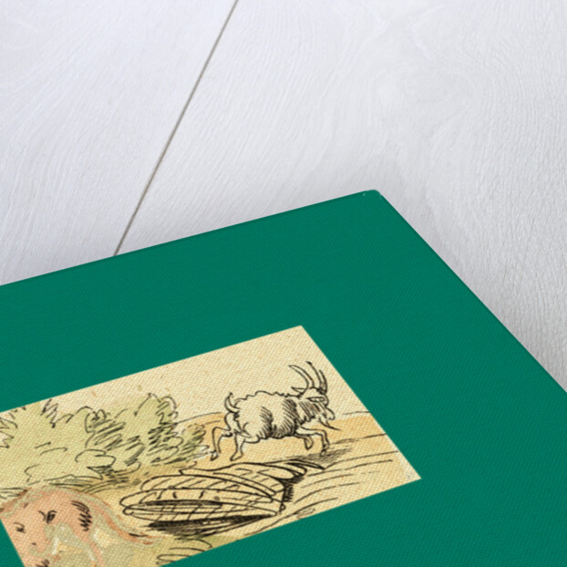 Schnaken and Schnurren, 1866, Mosquitoes and Purring by Anonymous