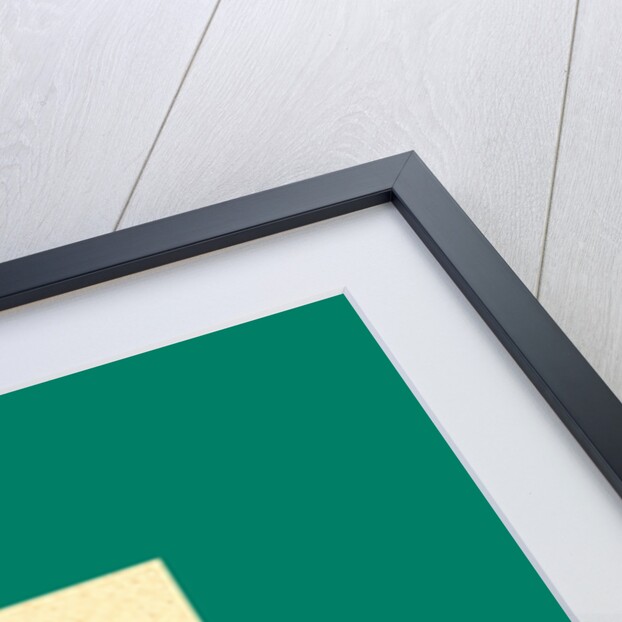 Schnaken and Schnurren, 1866, Mosquitoes and Purring by Anonymous