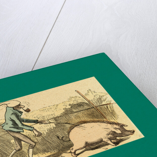 Schnaken and Schnurren, 1866, Mosquitoes and Purring by Anonymous