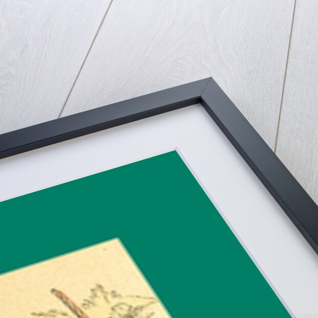 Schnaken and Schnurren, 1866, Mosquitoes and Purring by Anonymous