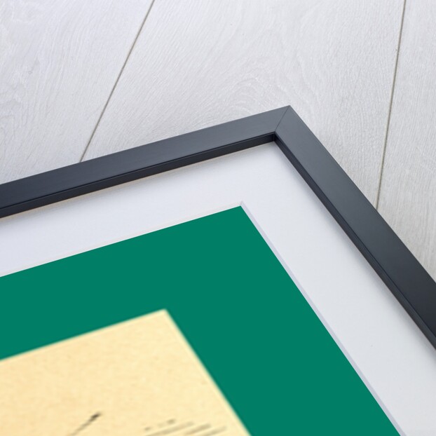 Schnaken and Schnurren, 1866, Mosquitoes and Purring by Anonymous