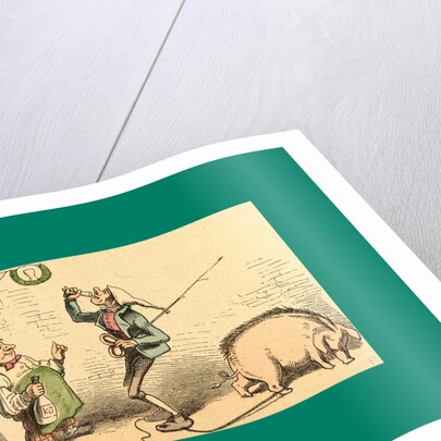 Schnaken and Schnurren, 1866, Mosquitoes and Purring by Anonymous