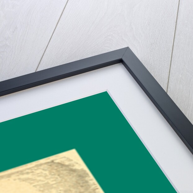 Schnaken and Schnurren, 1866, Mosquitoes and Purring by Anonymous