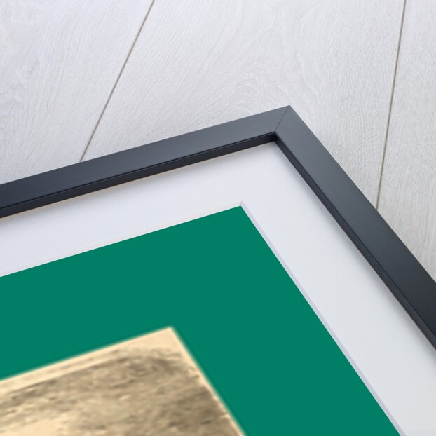 Schnaken and Schnurren, 1866, Mosquitoes and Purring by Anonymous