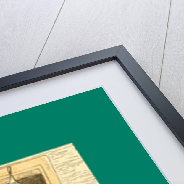 Schnaken and Schnurren, 1866, Mosquitoes and Purring by Anonymous