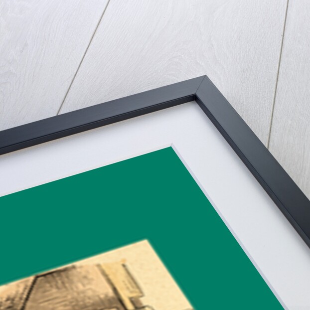 Schnaken and Schnurren, 1866, Mosquitoes and Purring by Anonymous