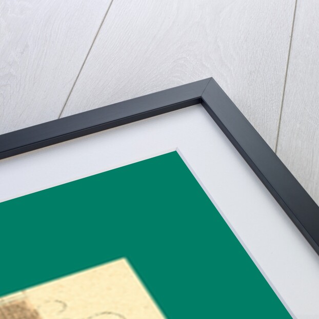 Schnaken and Schnurren, 1866, Mosquitoes and Purring by Anonymous