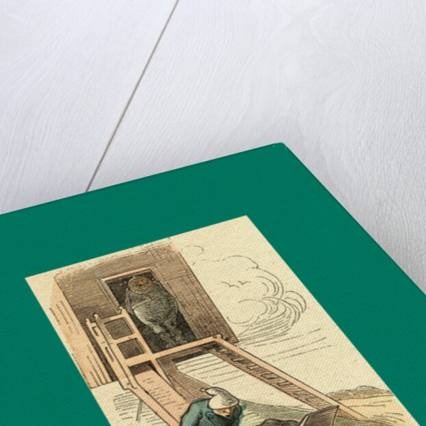 Schnaken and Schnurren, 1866, Mosquitoes and Purring by Anonymous