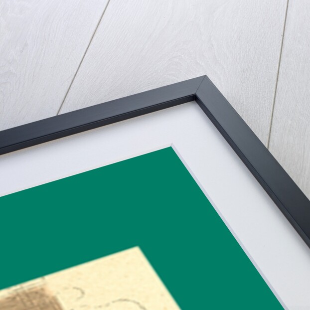 Schnaken and Schnurren, 1866, Mosquitoes and Purring by Anonymous