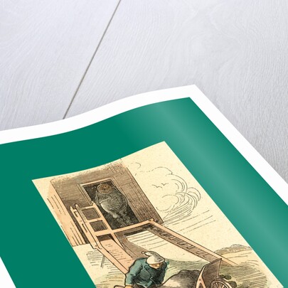 Schnaken and Schnurren, 1866, Mosquitoes and Purring by Anonymous