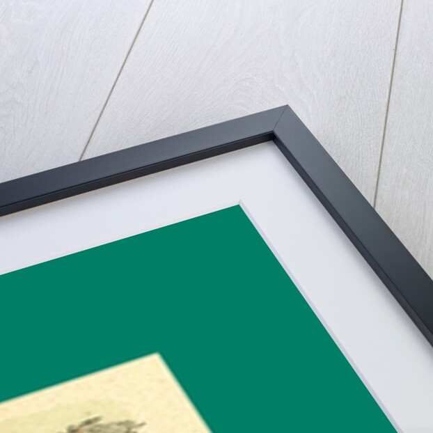 Schnaken and Schnurren, 1866, Mosquitoes and Purring by Anonymous