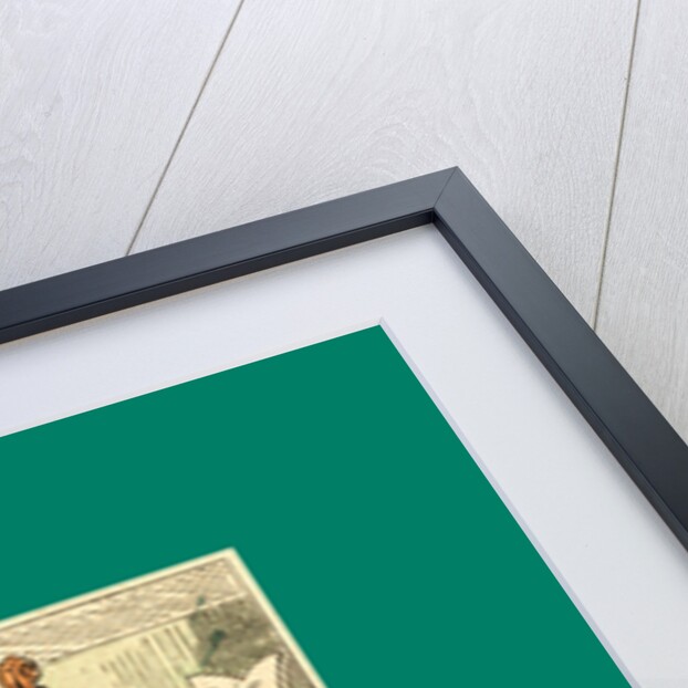 Schnaken and Schnurren, 1866, Mosquitoes and Purring by Anonymous