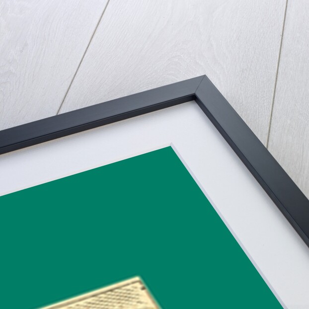 Schnaken and Schnurren, 1866, Mosquitoes and Purring by Anonymous