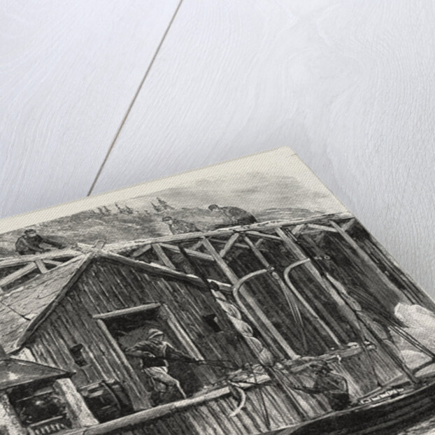 The Newfoundland Fisheries Question: British Fishing Room on the French Shore, Canada by Anonymous