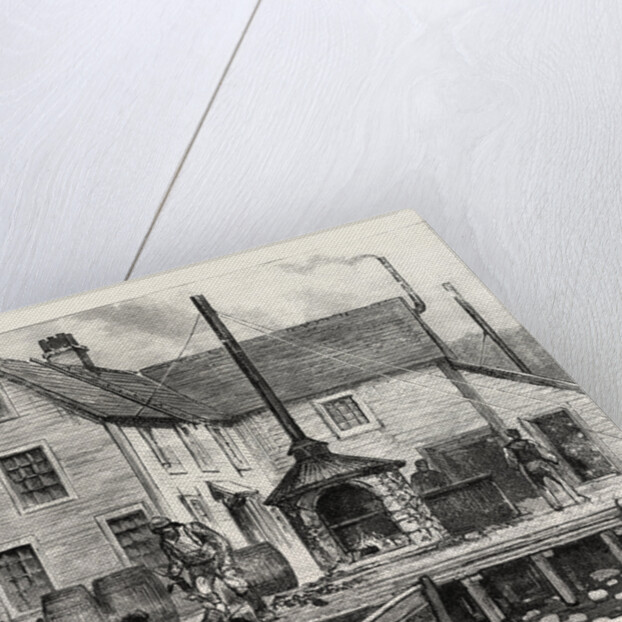 The Newfoundland Fisheries Question: Newfoundland Lobster Factory on the French Shore, Canada by Anonymous