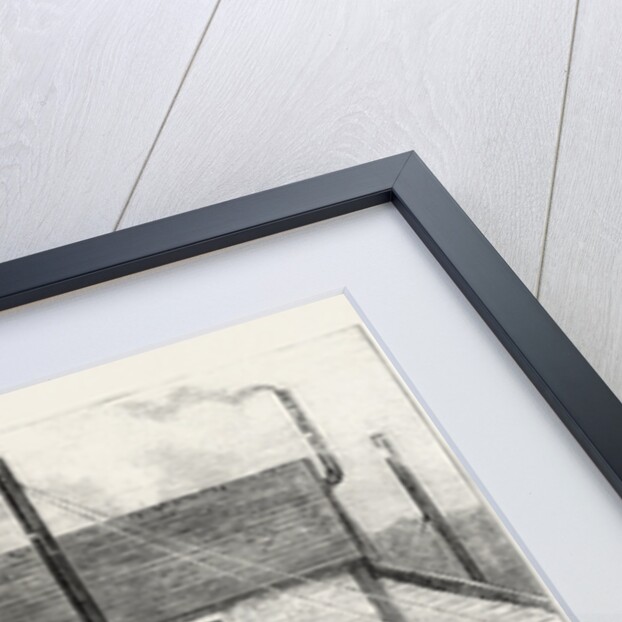 The Newfoundland Fisheries Question: Newfoundland Lobster Factory on the French Shore, Canada by Anonymous