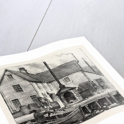 The Newfoundland Fisheries Question: Newfoundland Lobster Factory on the French Shore, Canada by Anonymous