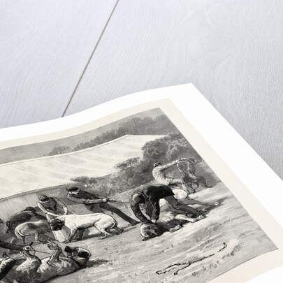 The Old English Mastiff Club Show at the Crystal Palace, London by Anonymous