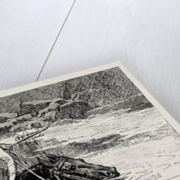 A Tale of the Sea: A Bird in the Hand is Worth Two in the Bush and Accordingly the Lady is First Landed by Anonymous