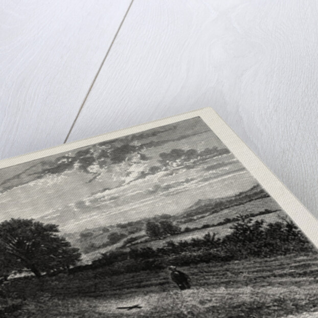 Near Evershed's Rough, Scene of the Fatal Accident to the Lord Bishop of Winchester by Anonymous