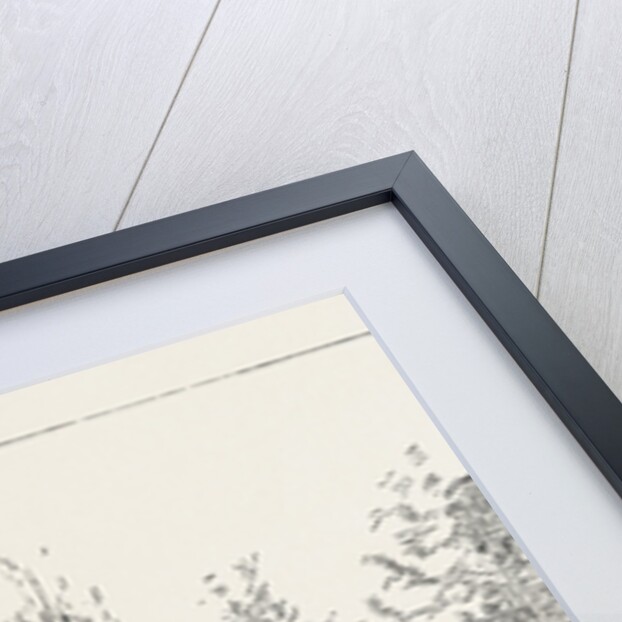 The Unveiling of the Waterloo Monument in the Evere Cemetery, Brussels, by H.R.H. The Duke of Cambridge, Belgium by Anonymous