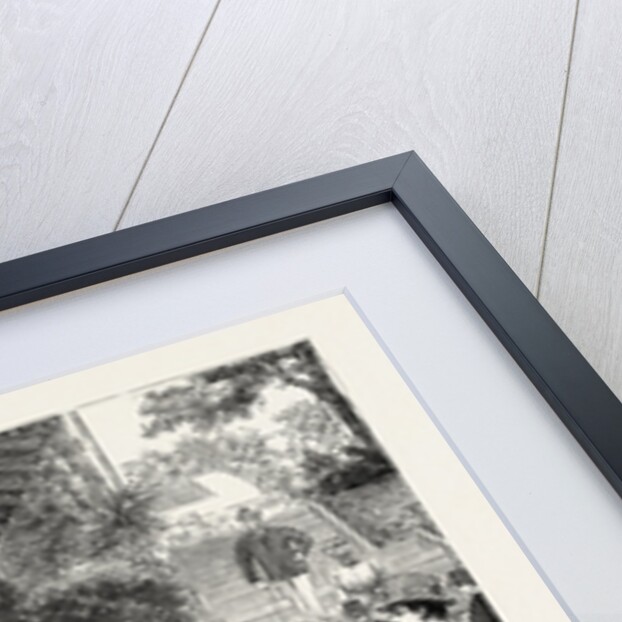 Bad Homburg Vor Der Hohe, Germany: The Elizabeth Spring by Anonymous