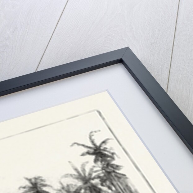 Malay Native Village on the East Coast of Sumatra, Indonesia by Anonymous