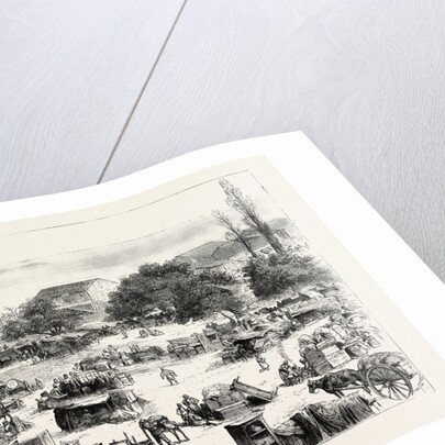 The Great Fire at Salonica, Thessaloniki, Greece: The Homeless People Camping Out on the Outskirts of the Town by Anonymous