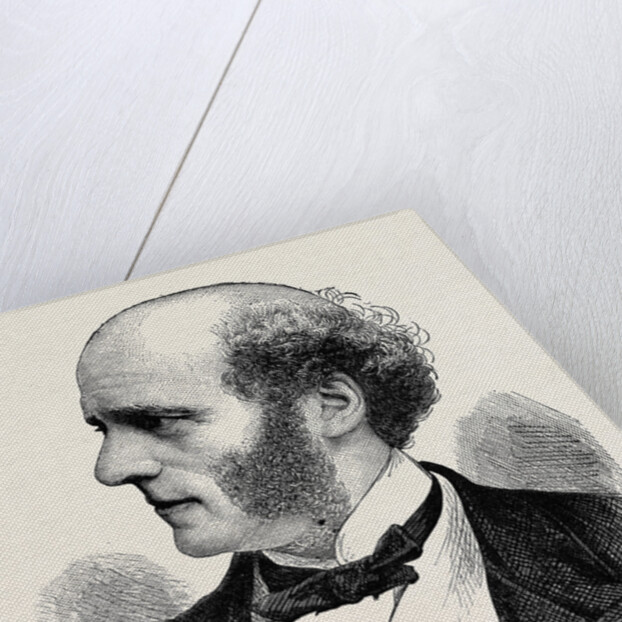 Thomas Hughes, Esq., M.P. by Anonymous