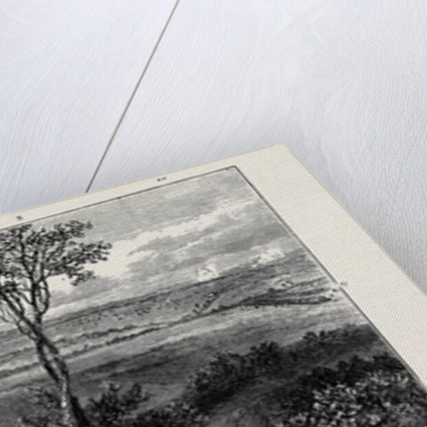 The Autumn Manoeuvres: Sir Alfred Horsford's Left on Launceston Heath Down by Anonymous