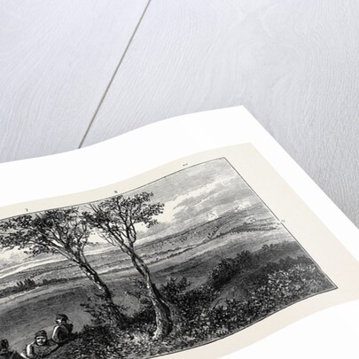 The Autumn Manoeuvres: Sir Alfred Horsford's Left on Launceston Heath Down by Anonymous