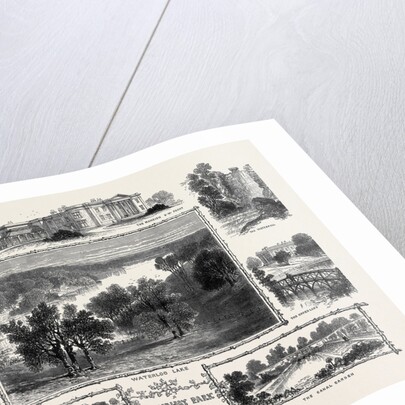Roundhay Park Near Leeds by Anonymous