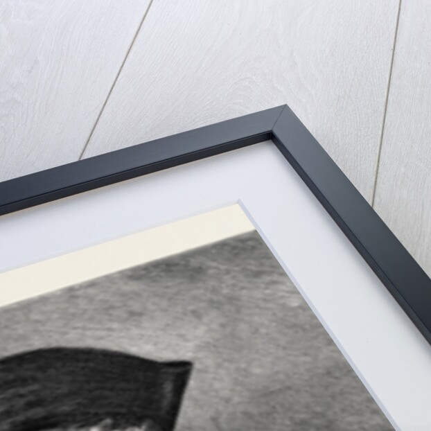 A Cavalier by Anonymous