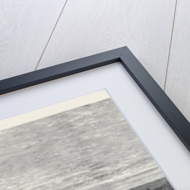 View of Central Park, New York, 1872 by Anonymous